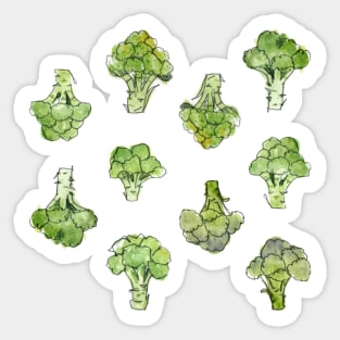 Watercolour Broccoli Sticker Sheet Sticker